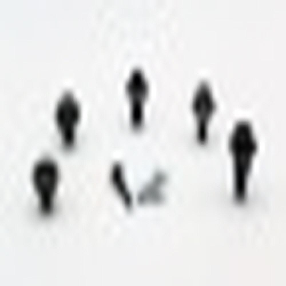 OEM Anti Losening bolts sealed bolts fasteners customozing cold forging bolt