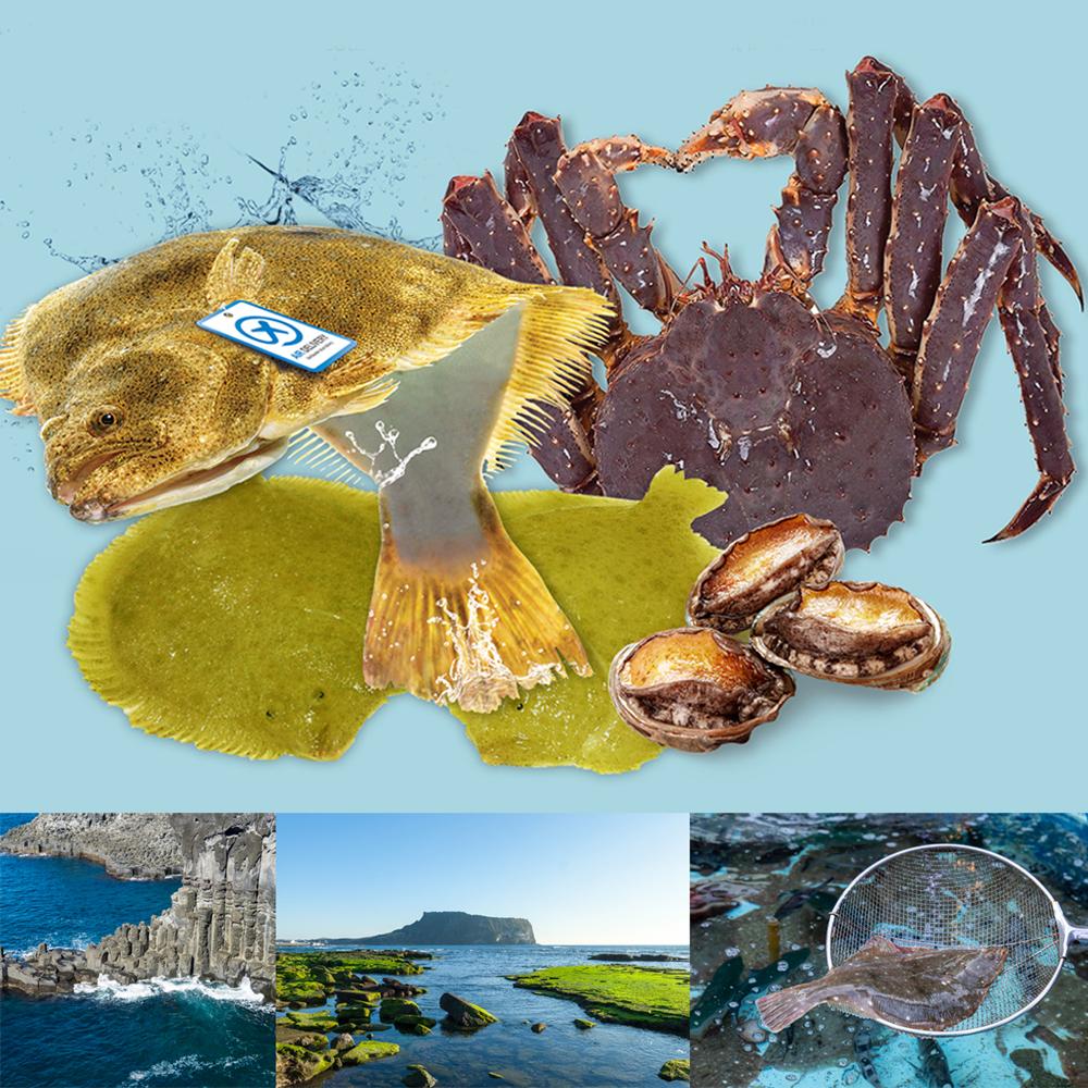 Live Abalone from Wando, Korea