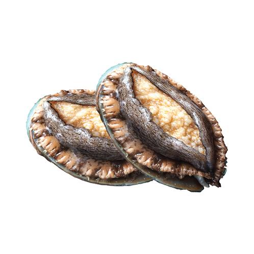 Live Abalone from Wando, Korea | Fresh seafood, seafood, live fish, Live Abalone, Korea Live Abalone, snow crabs, crustaceans, king crabs, Russian king crabs, Fresh seafood, seafood, live fish, snow crabs, crustaceans, king crabs, Russian king crabs