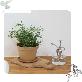 detail image1 Freefactory Flower Plant Pot with Drainage Holes and Saucer Tray(Large/Brown)